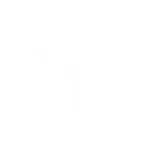 Network Icon